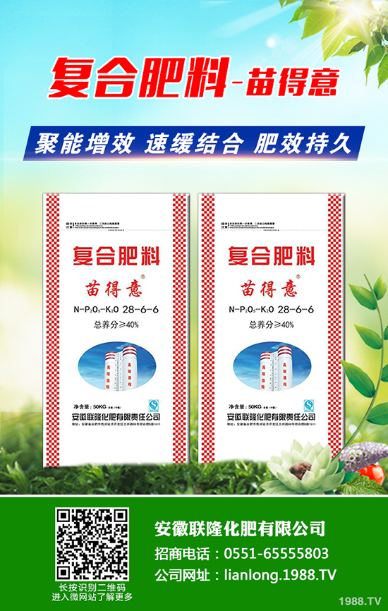 八角楓產(chǎn)地在哪？八角楓怎么種植？