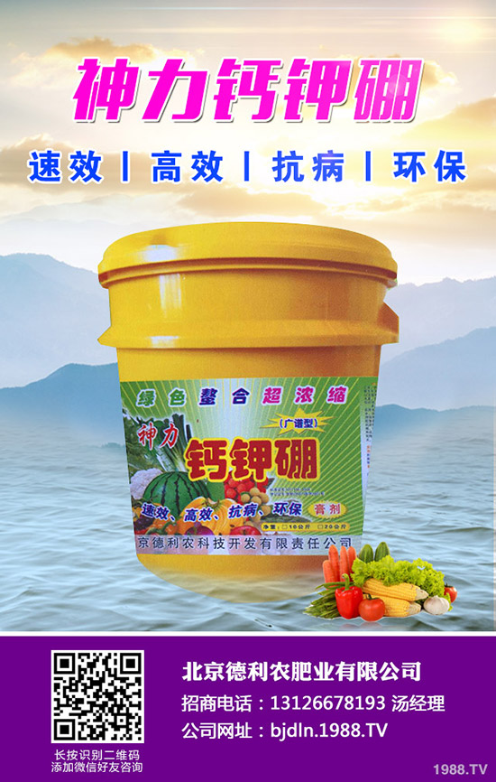 2020年春節(jié)前鉀肥價格上漲有限!2020-1-17日鉀肥行情走勢分析!