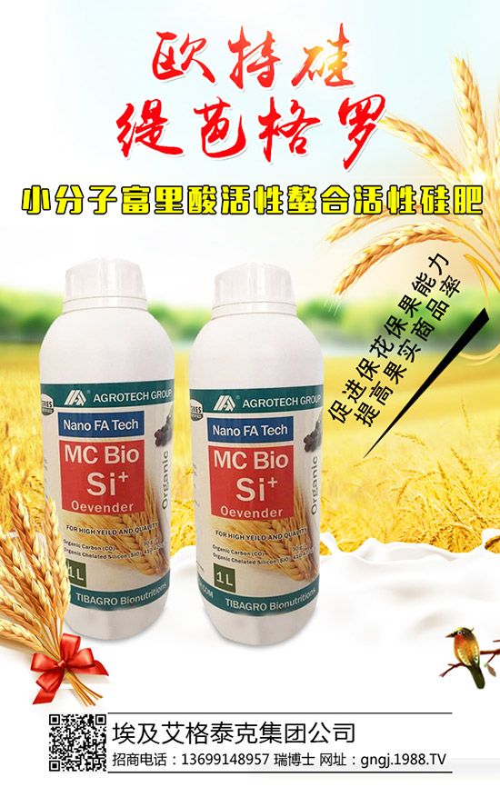 大棚辣椒結(jié)果少是怎么回事，怎樣提高辣椒坐果率？