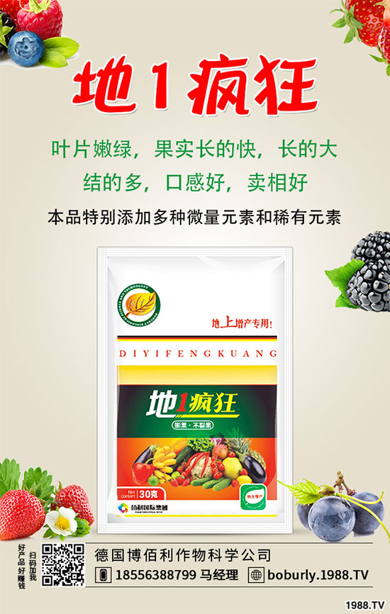 �����仨�����ʲôԭ������������������ʩ��