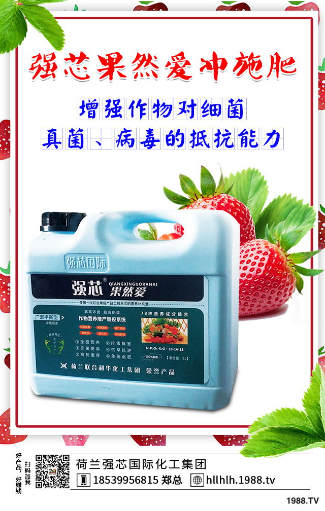 2020年種植什么蔬菜能掙錢?2020年蔬菜種植前景分析