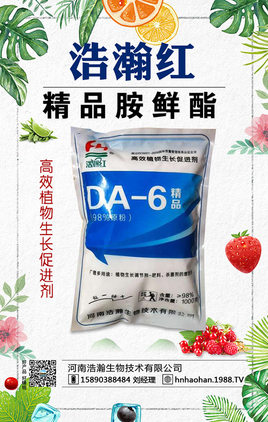 如何種植薰衣草?薰衣草的種植方法與注意事項(xiàng)!