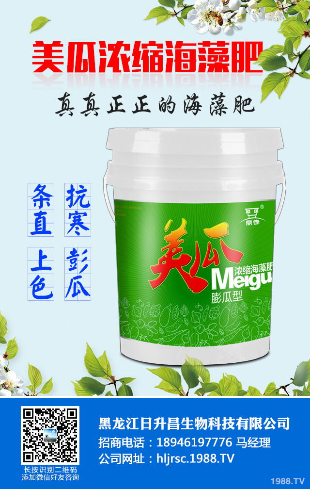 2020年種植什么蔬菜能掙錢?2020年蔬菜種植前景分析