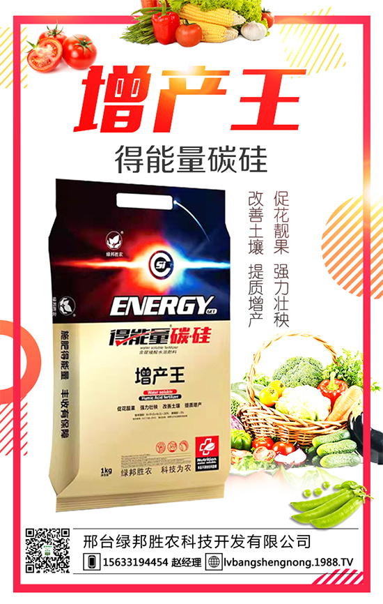 ���G����r(n��ng)����ףȫ�����񴺹�(ji��)�옷���Ҹ�������