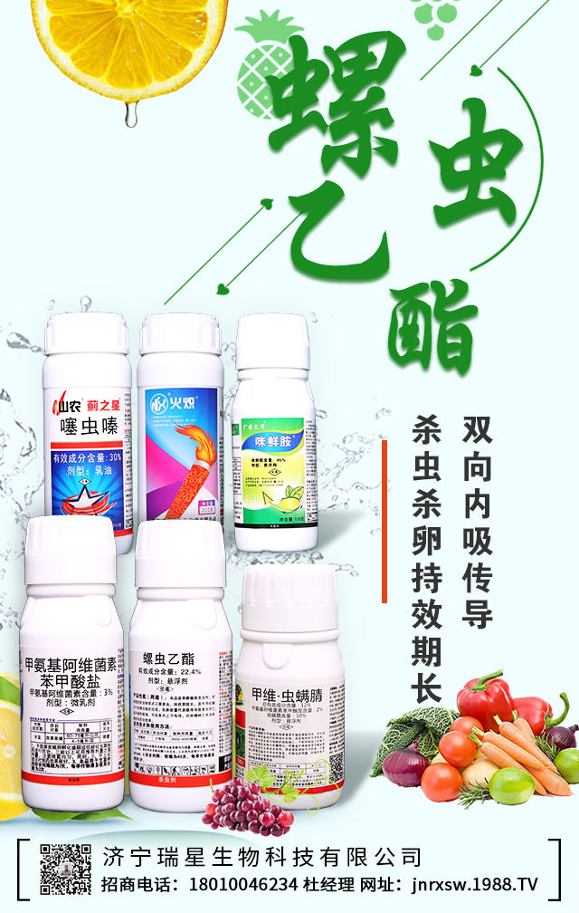 ������������Ƽ����޹�˾3