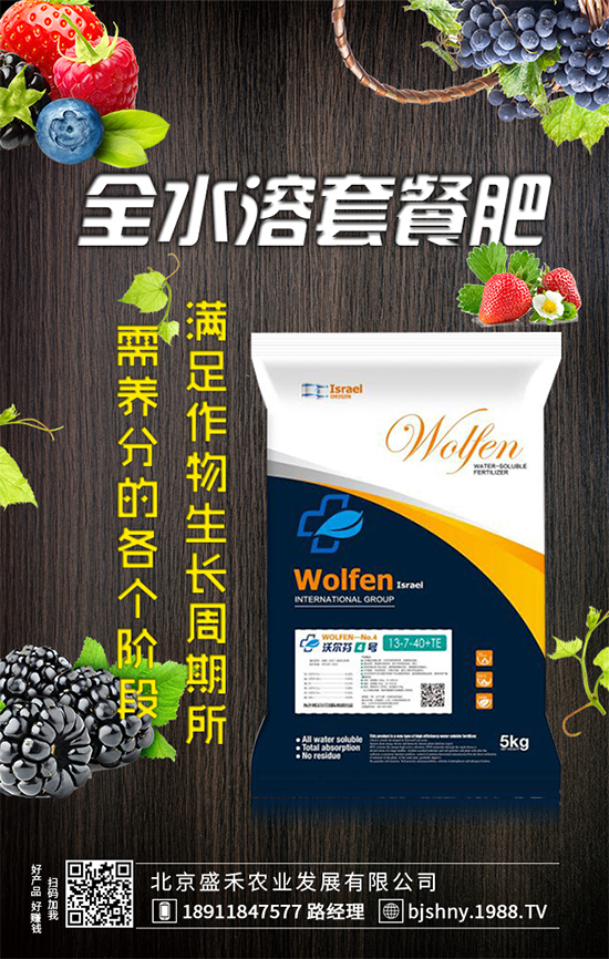 葫蘆種植時(shí)間是什么時(shí)候？葫蘆高產(chǎn)種植方法！