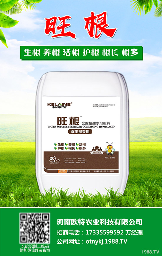 紅藤有哪些神奇功效？紅藤的功效作用及禁忌人群