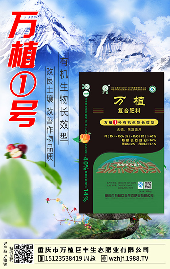     臨近年末，二銨市場行情依舊低落！2020-1-4今日最新二銨價(jià)格早報(bào)！
