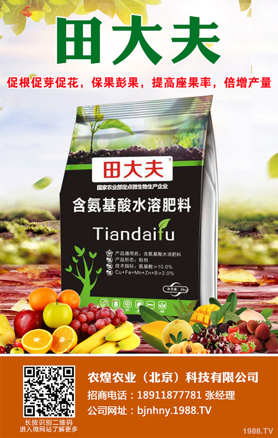 種植什么水果會(huì)賺錢？2020年水果種植指南