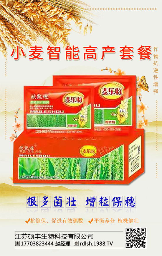 �����K�T�S���ף���2020�����w�����������d�����H���Ҹ���