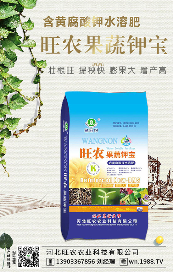 郁金香生長(zhǎng)習(xí)性有哪些？郁金香養(yǎng)護(hù)要點(diǎn)！