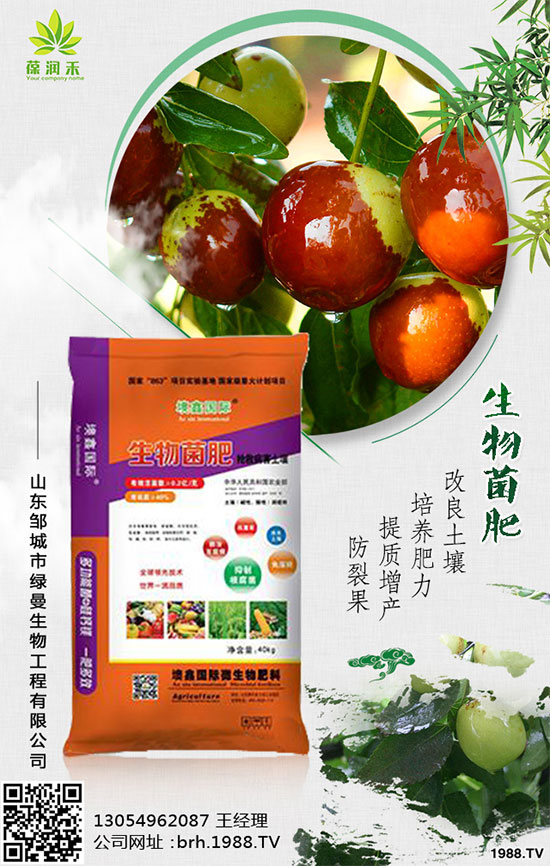 西蘭花什么時(shí)候種植?西蘭花種植注意事項(xiàng)!