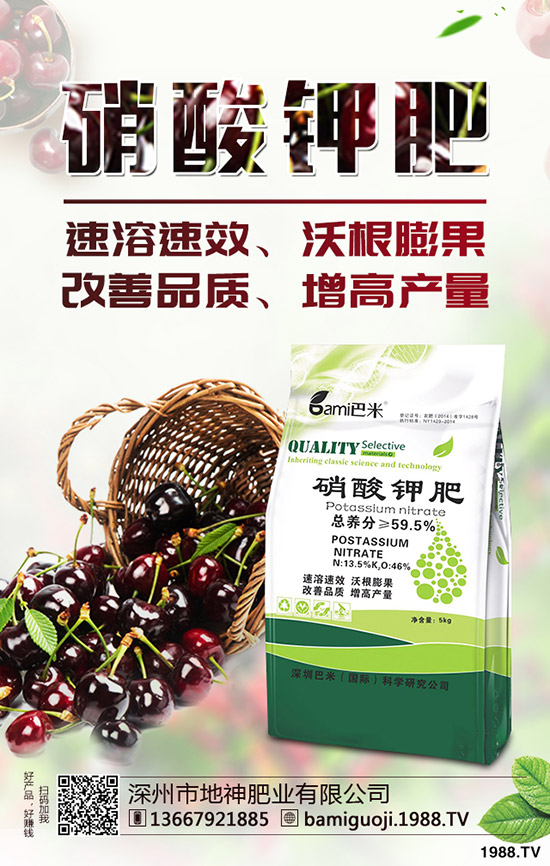 紅薯育苗時(shí)間是什么時(shí)候？紅薯育苗方法有哪些？