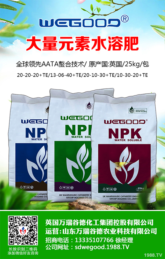 露地辣椒什么時候種植？露地辣椒高產(chǎn)種植技術(shù)