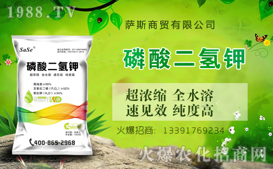 ���_˹���Q(m��o)��ȫ�w�T��ףȫ���������µ�һ����������\(y��n)�����X�]����