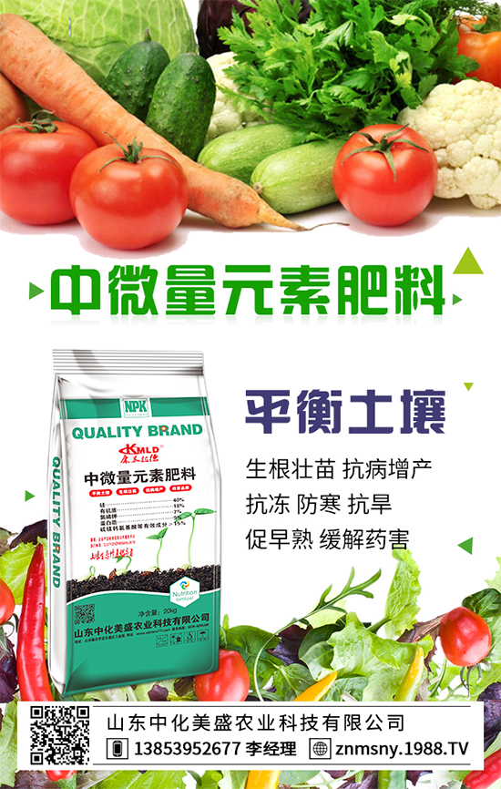 ������ݮ��ô����������ݮ������ʩ��