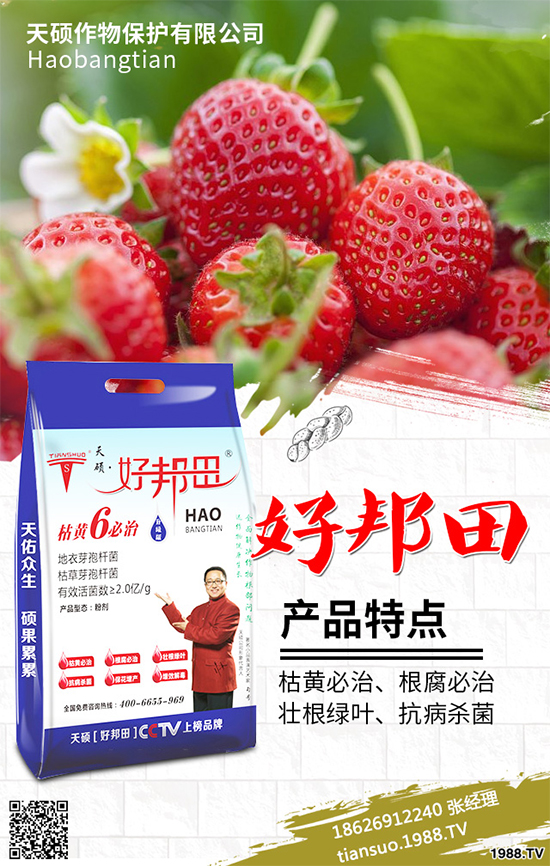 冬季南瓜該如何種植？反季南瓜大棚種植技術(shù)