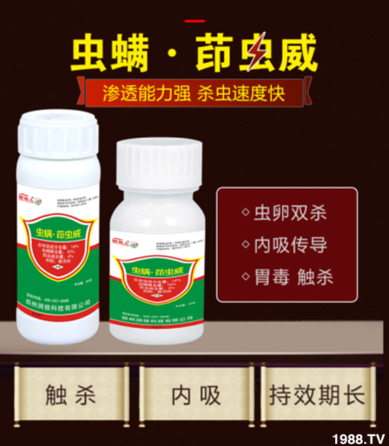 �����ݝ�(r��n)�����ףȫ��(gu��)�r(n��ng)�Y��(j��ng)�N�����т�2020����옷(l��)����ϲ�l(f��)ؔ(c��i)��