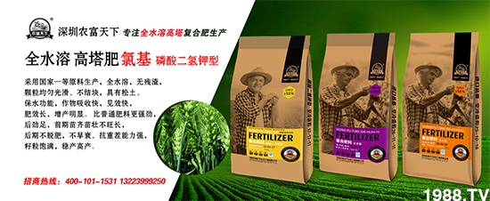 �������r(n��ng)�����¡�ȫ�w�T��ף����´��옷(l��)������������