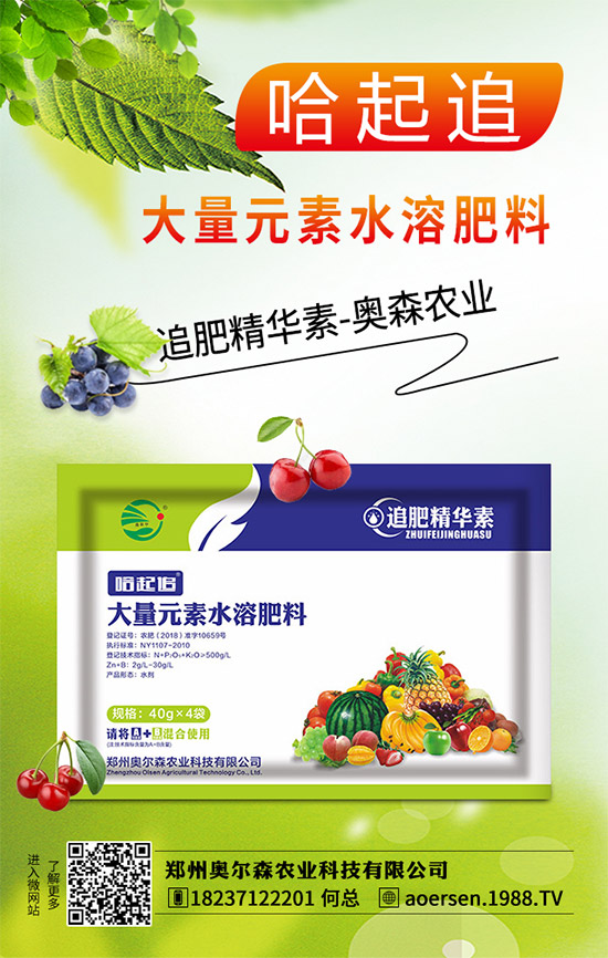 郁金香該如何種植？郁金香的種植管理方案