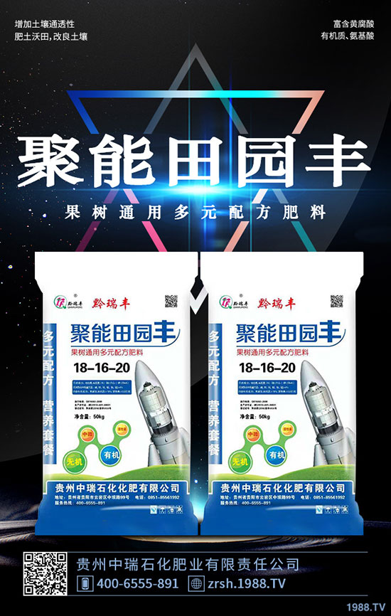 黑木耳的功效與作用，黑木耳營養(yǎng)價值及食用禁忌！