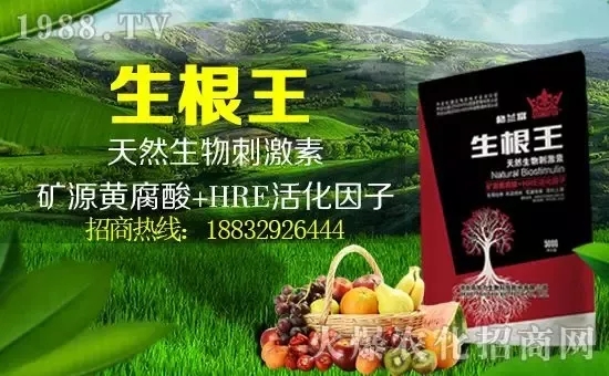 小麥漲價(jià)！個(gè)別報(bào)價(jià)超過(guò)2500元/噸！