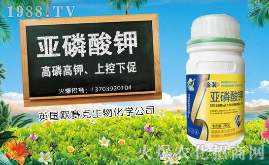 ľ��ʲô�r(sh��)��Nֲ��ľ�ϷNֲ�r(sh��)�g���Nֲ���g(sh��)Ҫ�c(di��n)��