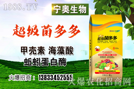 ��ɫ��Ҭ�˶����X(qi��n)һ���ɫ��Ҭ�˷NֲЧ����������ӷNֲ��