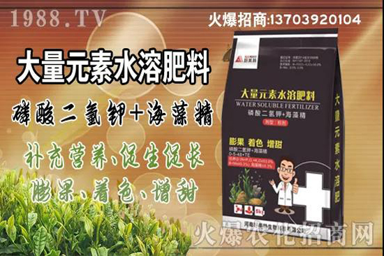 蔬菜旺長有哪些危害？秋茬蔬菜控旺三要點(diǎn)！