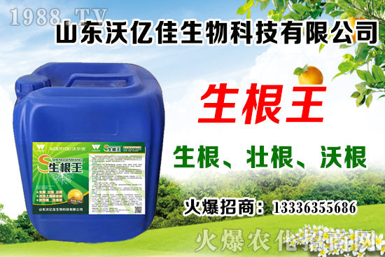 Ӱ푲�ݮ��ѿ�ֻ���������Щ����ݮ��ѿ�ֻ����c��ֲ����Ҫ�c(di��n)��