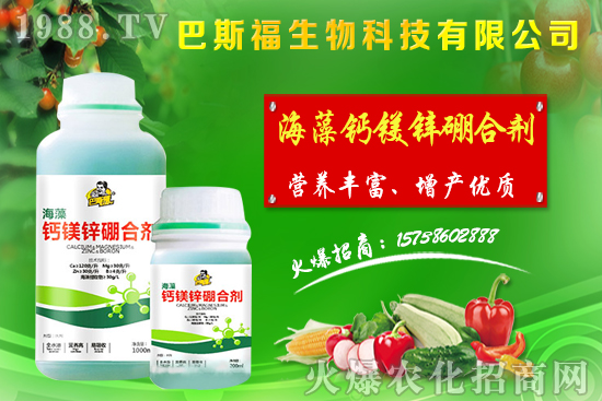 節(jié)后麥?zhǔn)辛魍ㄆ?,小麥價(jià)格整體偏強(qiáng)運(yùn)行!