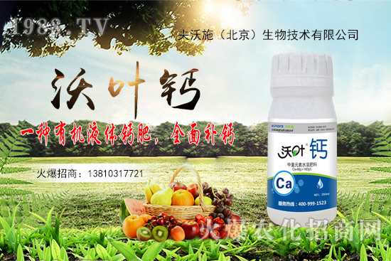 花生還會(huì)再漲嗎?2020年10月20日花生價(jià)格行情