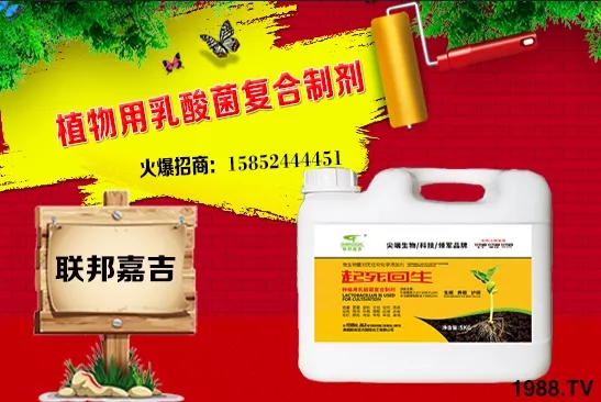 大蔥生長條件有哪些？大蔥需肥特點(diǎn)及秋季管理！