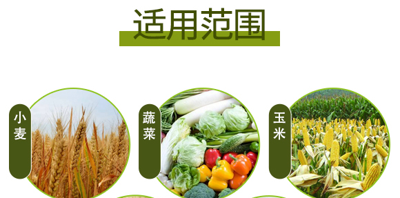 �����ЙC(j��)����Ԫ�ط�-��ʩ��_10