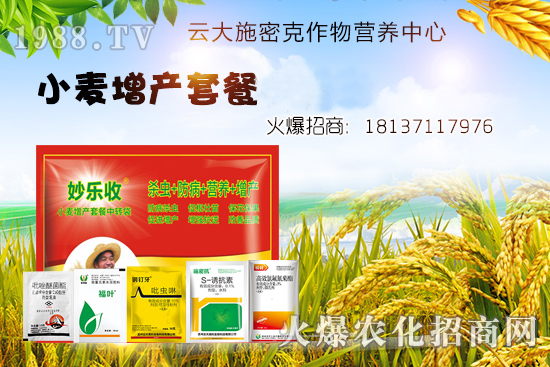 小麥播種后不出苗？是什么原因造成的？