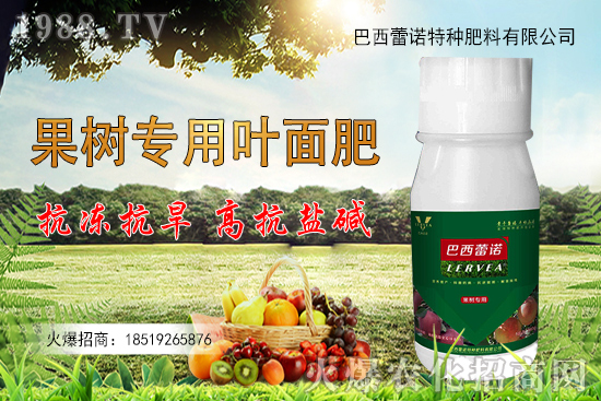 尿素多少錢一噸？2020-10-30國內(nèi)尿素價格行情日報