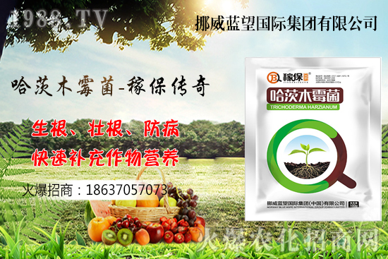 收獲后的小麥如何儲(chǔ)存呢？小麥儲(chǔ)藏關(guān)鍵點(diǎn)管理！