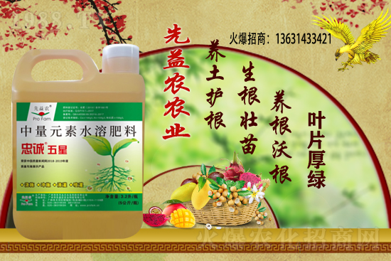 花生價(jià)格還能繼續(xù)上漲么？2020-11-10部分區(qū)域花生價(jià)格詳情