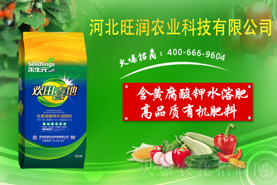 果園反光膜怎么鋪效果好？果園鋪反光膜五要點！