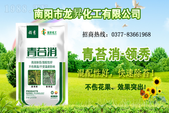 大豆供不應(yīng)求，價(jià)格持續(xù)上漲！各地大豆價(jià)格行情