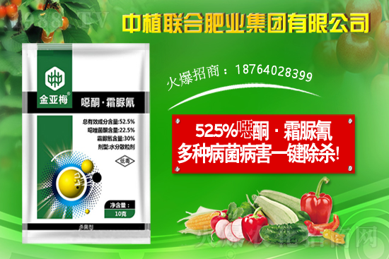 11月19日國內部分產(chǎn)區(qū)花生價格