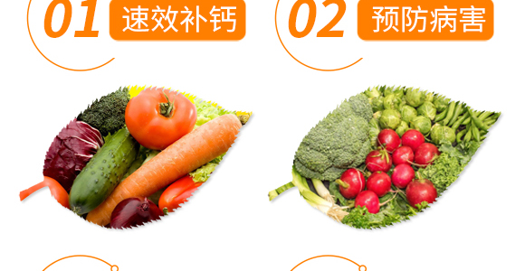 河南英普葉潤農(nóng)業(yè)科技有限公司_06