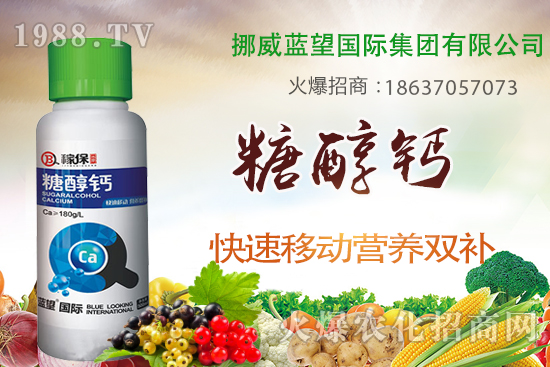 草莓缺鈣有哪些原因呢？草莓缺鈣癥狀及補(bǔ)救措施