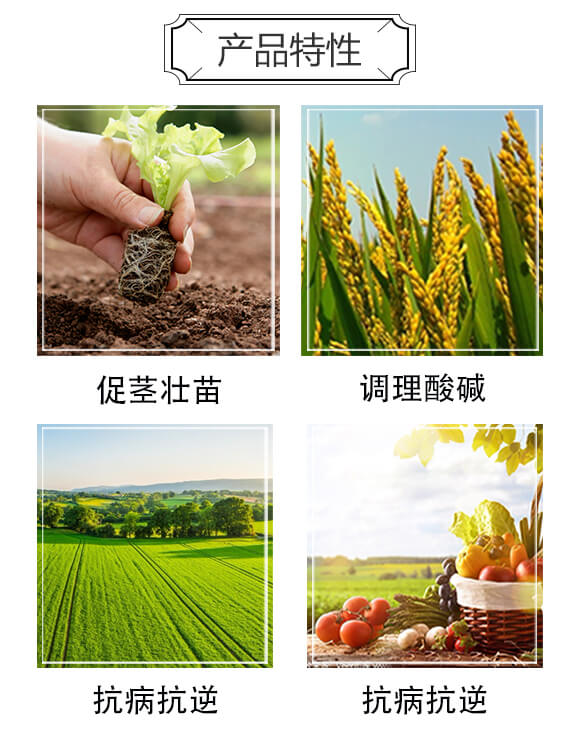 復(fù)合微生物水溶肥-海藻螯合鉀-寧奧生物_03