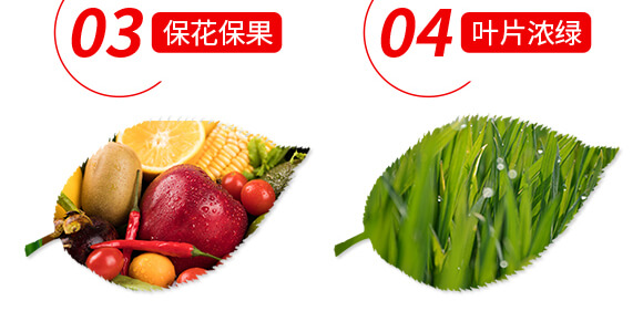 稀土微量元素水溶肥料-果滿園-貝德樂(lè)_06