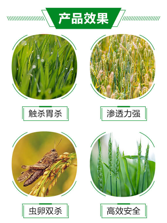 6%(li��n)�ա���x��-���r(n��ng)_03