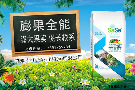 菜椒要怎么種植？菜椒生長條件及種植技術(shù)！