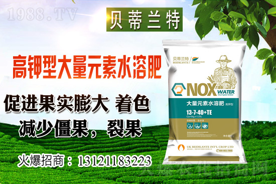 2020年12月小麥價格預(yù)測(附今日小麥價格介紹)