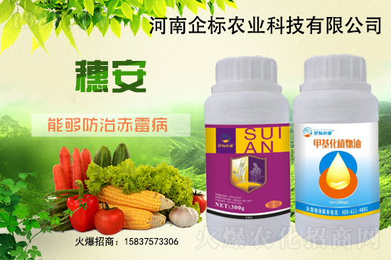 小麥赤霉病危害特點，防治小麥赤霉病用什么藥？