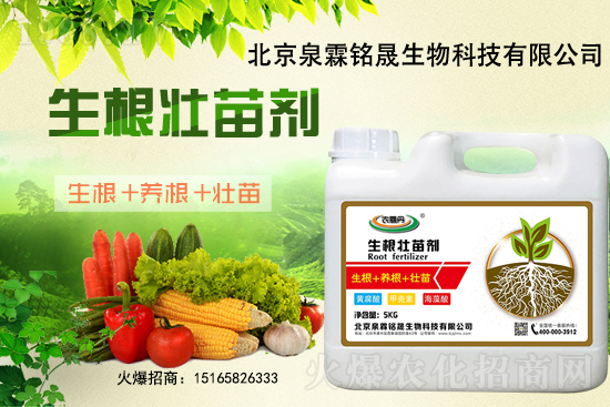 一豆難求！2020-11-25東北大豆上漲迅猛